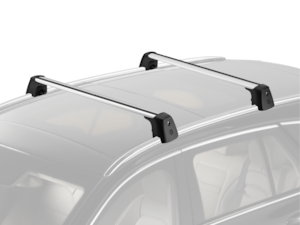 Roof rail carrier bars