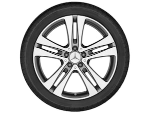 5-twin-spoke wheel, 48.3 cm (19-inch), High-sheen finish